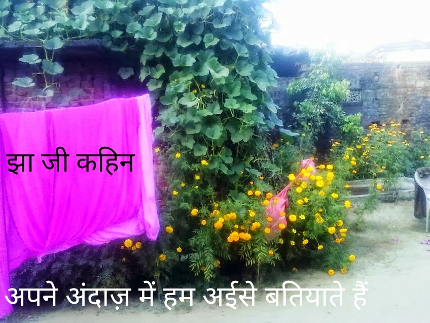 झा जी कहिन