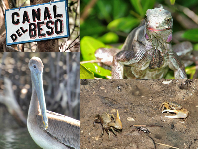 Parque Nacional de la Laguna de la Restinga