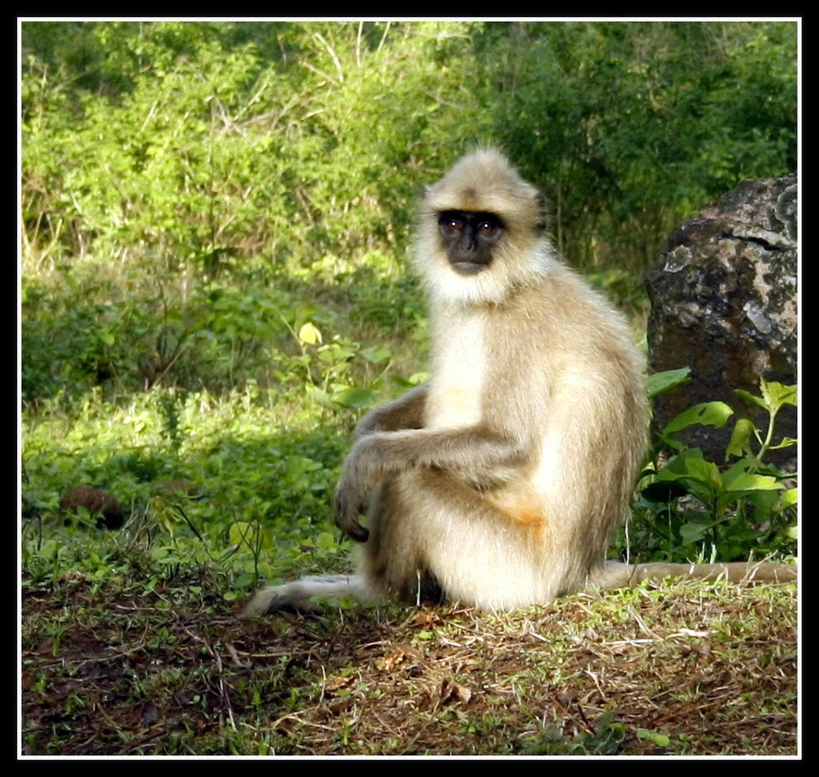 Our Travel Tales Weekend Getaway 4. Gudalur