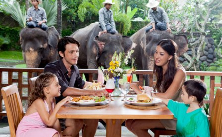 Breakfast With Elephant