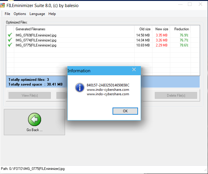 Fileminimizer Pdf Crack