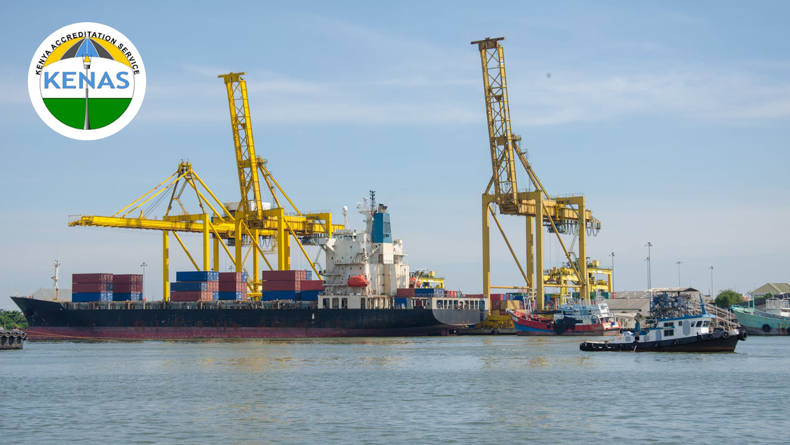 Kenya fish exports set for EU test and EU import guidance Afrivive