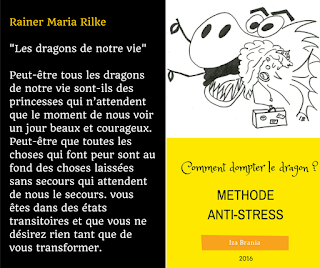 Comment dompter le dragon ou comment gerer le stress.