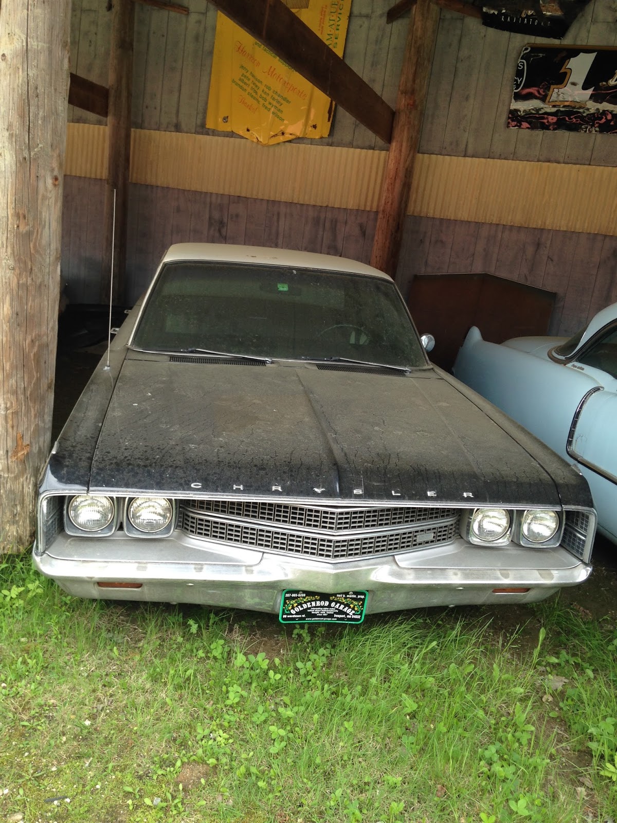 autoliterate Yard Dogs at Goldenrod Garage