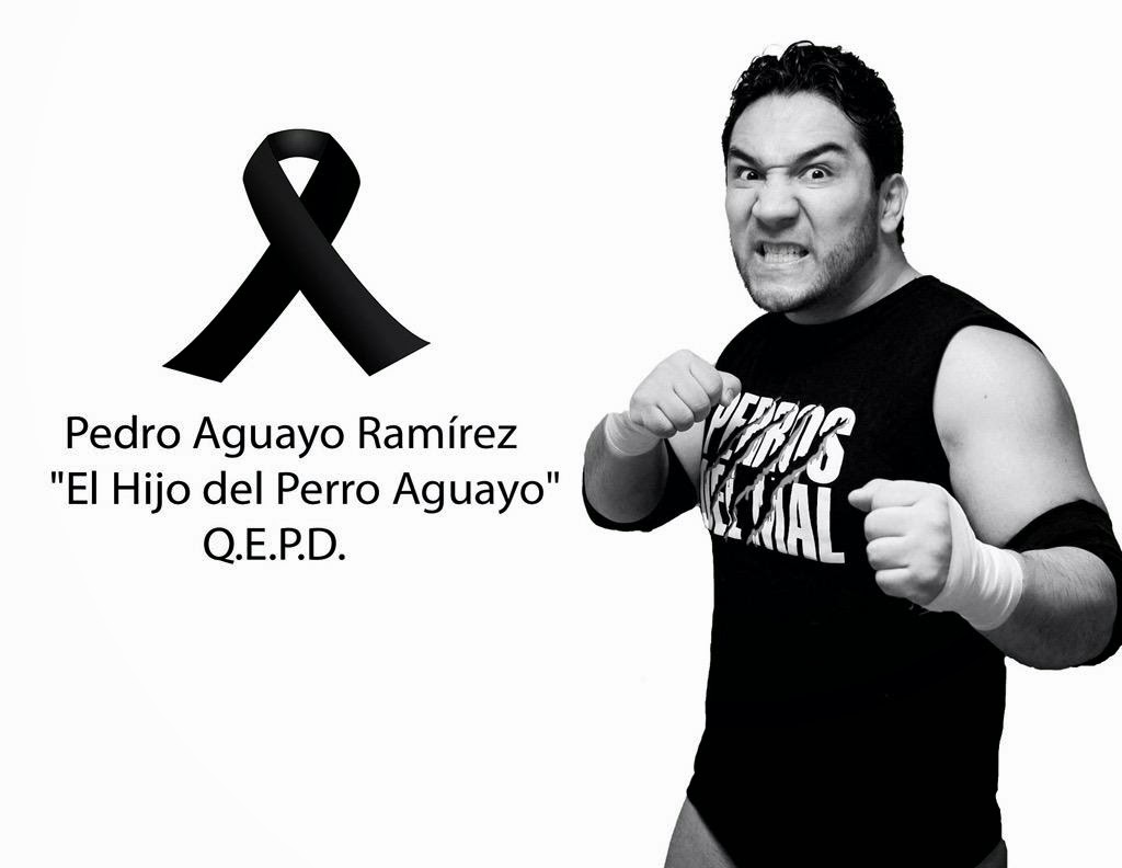 MUERE EL HIJO DEL PERRO AGUAYO MUERE EL HIJO DEL PERRO AGUAYO