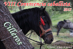 VIII CONVIVENCIA CABALLISTA 2015