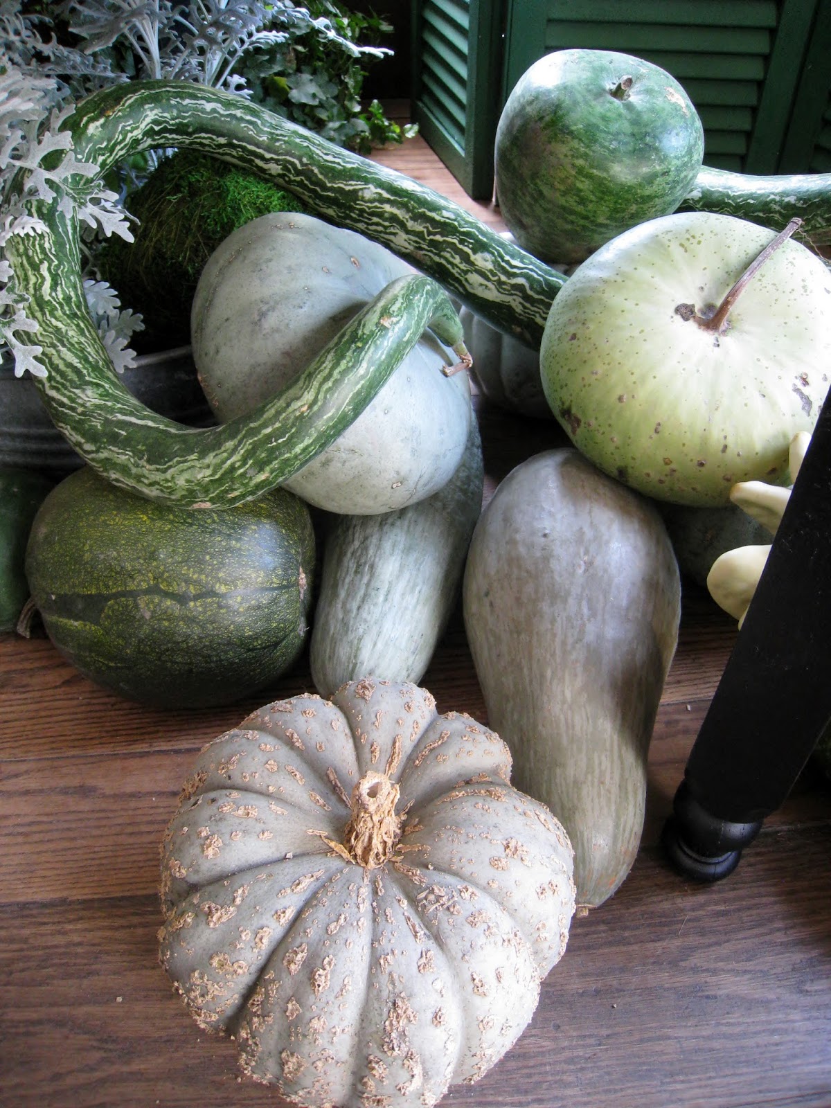 Moments of Delight...Anne Reeves Have a Gourd Easy Fall Arrangements