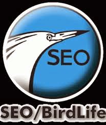 Web de SEO/Birdlife