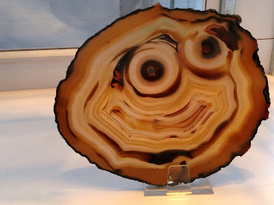 Funny Weird Agate Specimens You Should See