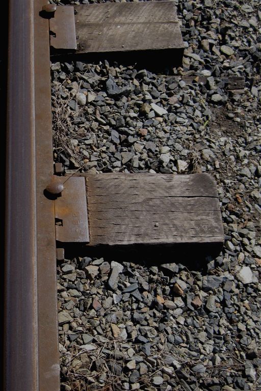 Softiemaker: More nature letters