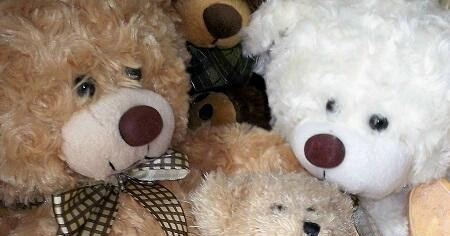 Bear With Me: Teddy Bear Therapy