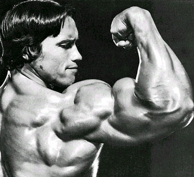 Bodybuilder,Woman Body Builders,Women Bodybuilding,Female Bodybuilders