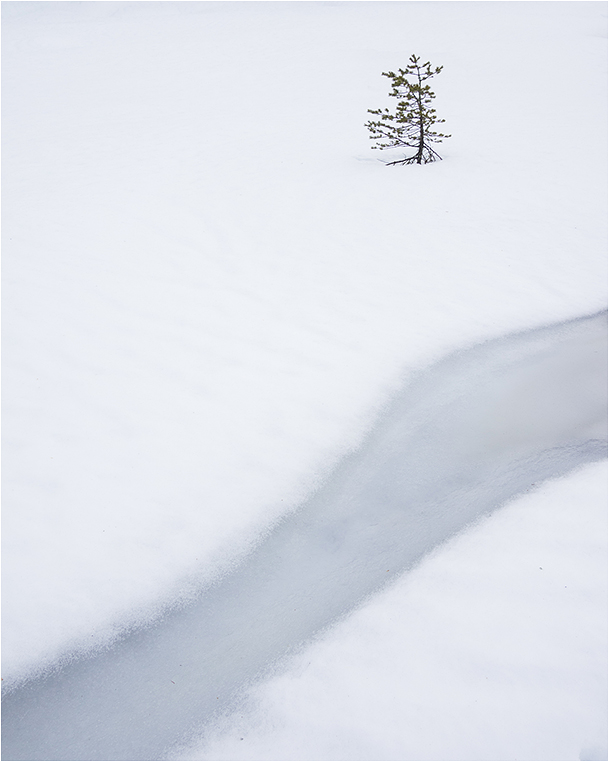 Emerging Photographers, Best Photo of the Day in Emphoka by Georg Engh Emerging Photographers, Best Photo of the Day in Emphoka by Georg Engh