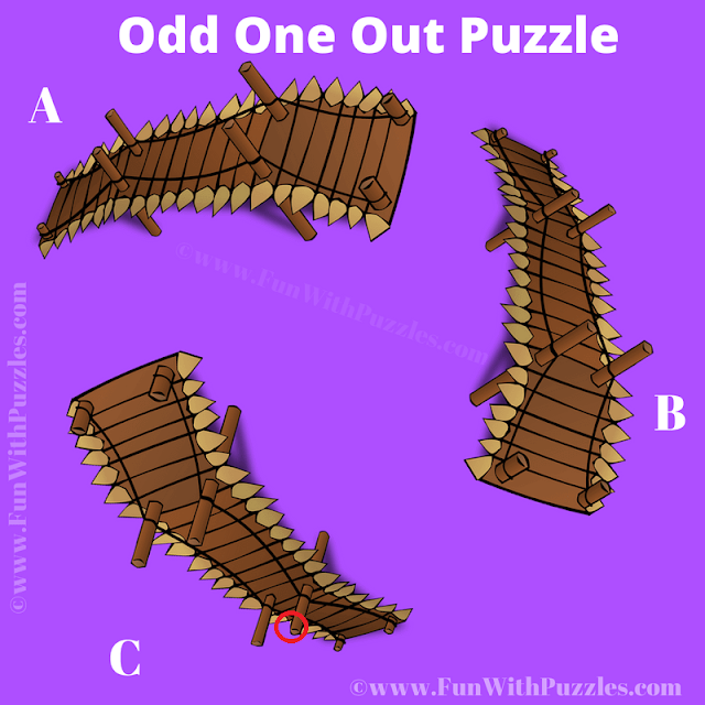 Observational Fun: Odd One Out Picture Puzzle Answer