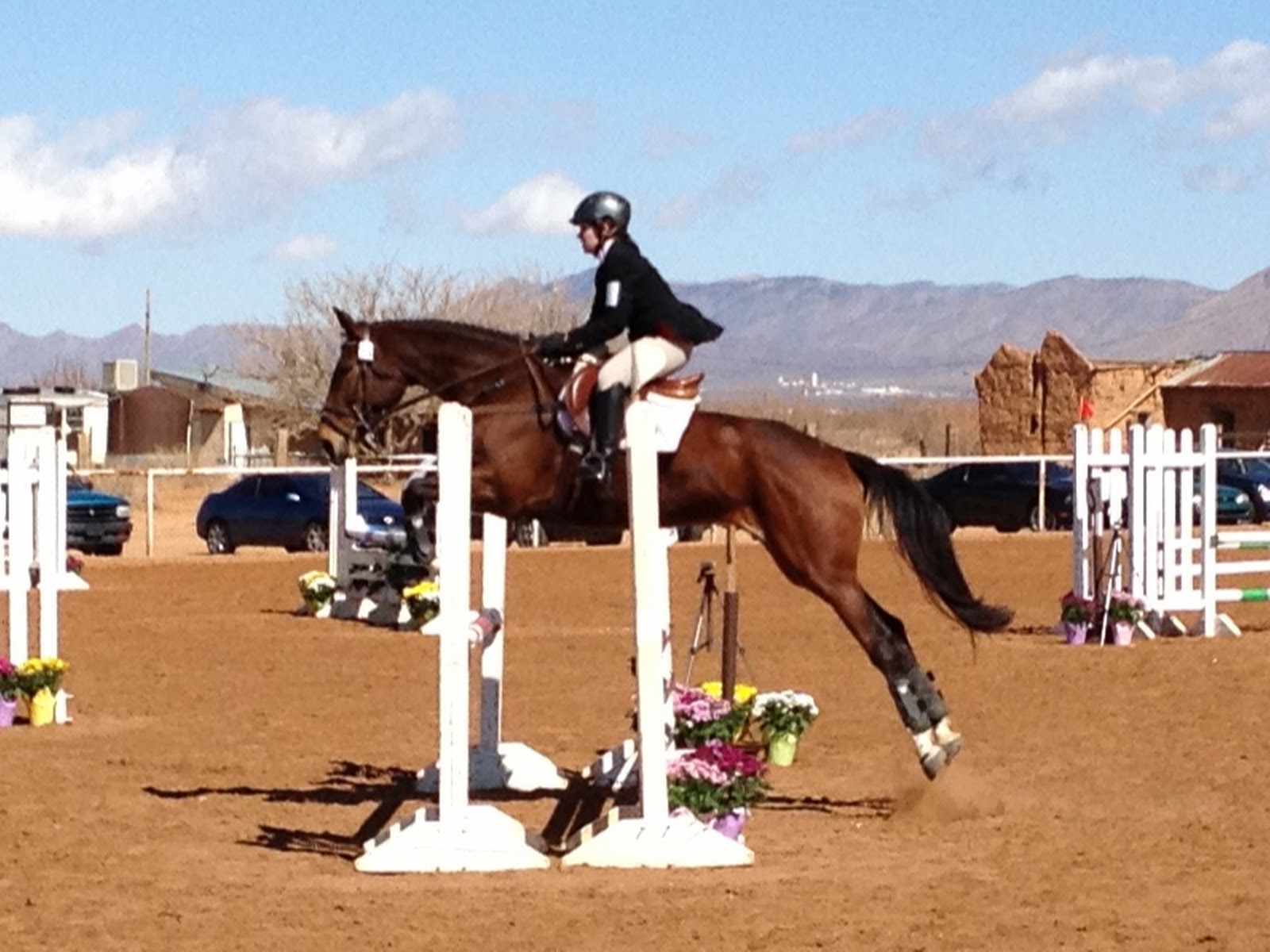 Down the Bridle Path Las Cruces Horse Trials