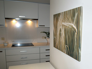 Decoraciones y Modernidades: Lo último en cuadros para cocinas