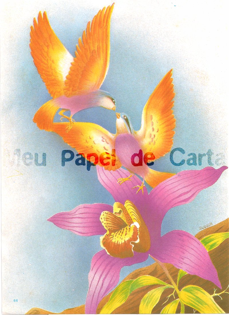 Meu Papel de Carta 545 Pássaros Meu Papel de Carta 545 Pássaros