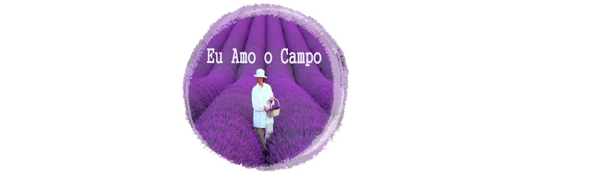 Eu Amo o Campo