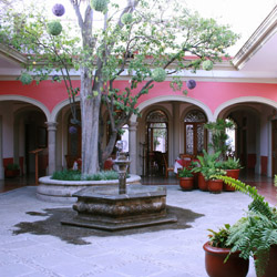 sayula_jalisco