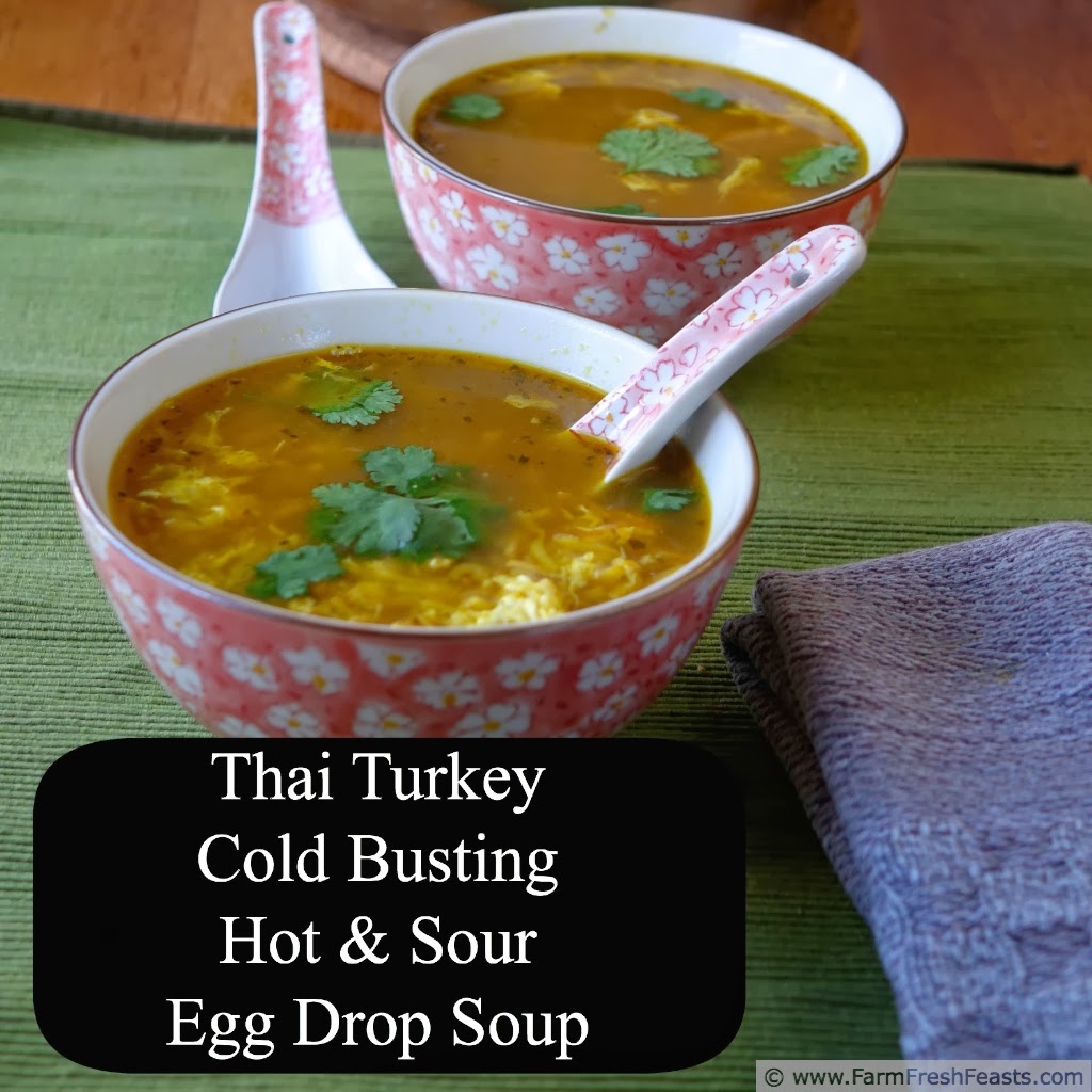 Farm Fresh Feasts Thai Turkey Cold Busting Hot and Sour Egg Drop Soup