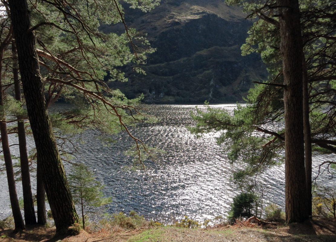 Easy hike around Glendalough lake