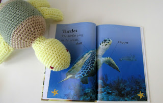 Plush tortoise reading about turtles in Fishy Tales