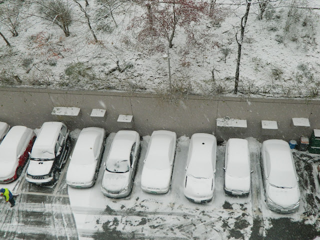 Snowed cars in Seoul