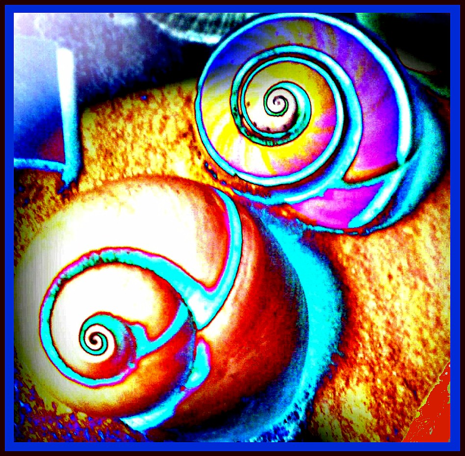 MarianneDowFoto Blog Art Photography by Marianne Dow Pop Art Snails 365project photo 118/365