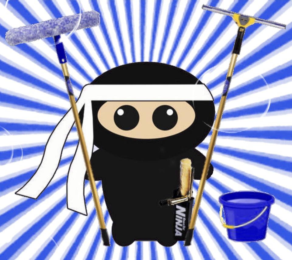 A ninja window cleaning!
