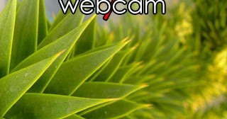 intitle:webcam 7 inurl:8080 -intext:8080 | Google Dorking