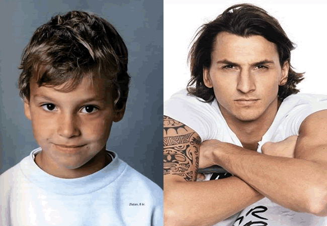 ibrahimovic