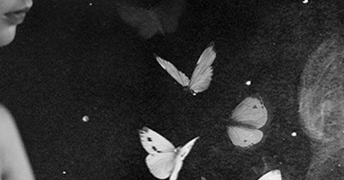 POEMAS DE JULIE SOPETR\u00c1N: MARIPOSAS DEL TIEMPO