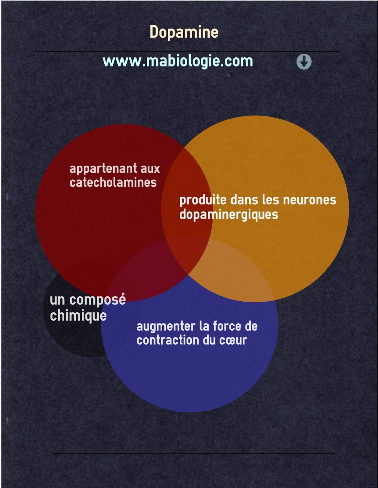 Définition Dopamine Biologie