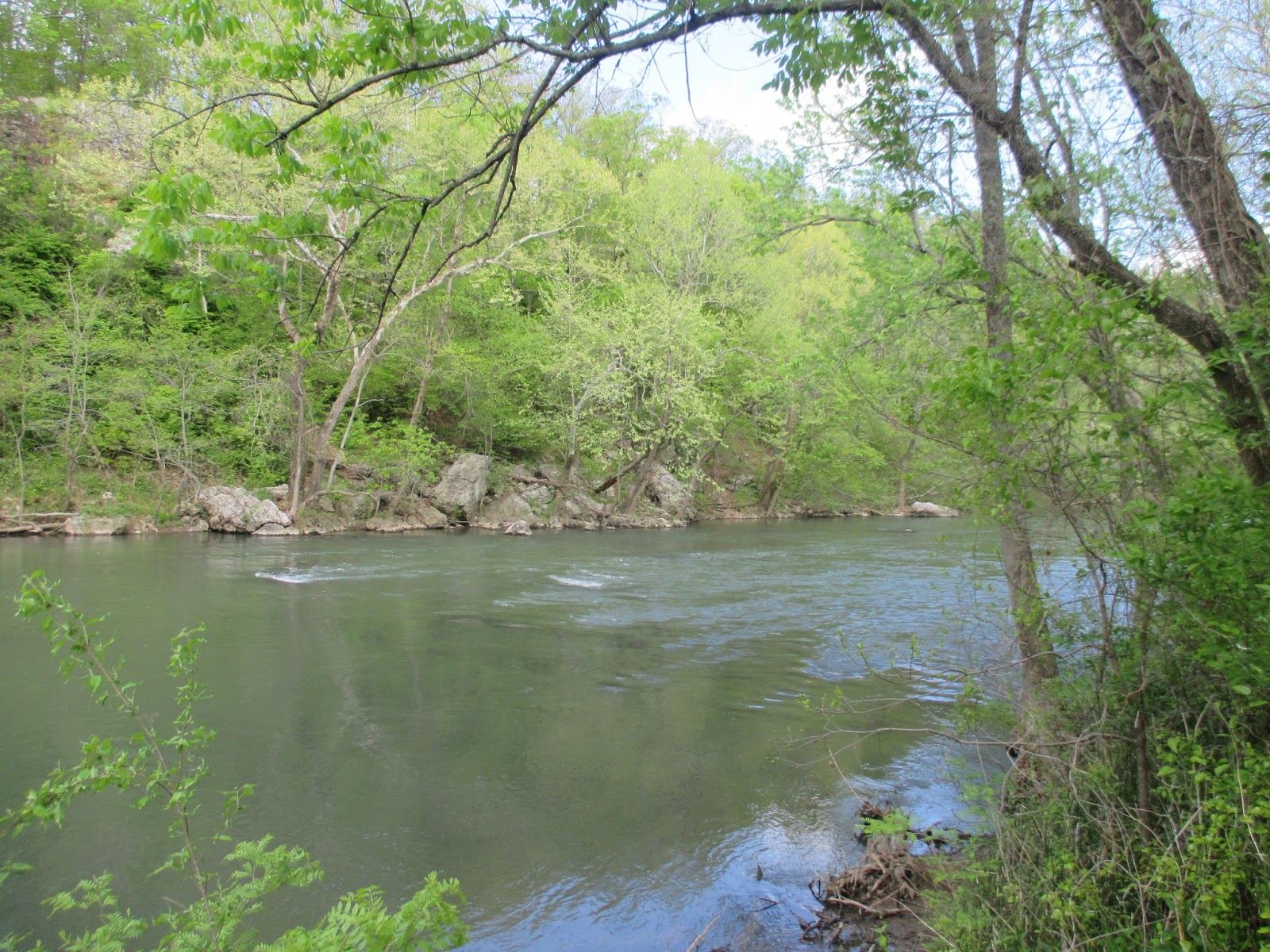 Backyard Excursions Shoal Creek Cave and the Wildcat Glade Nature Center