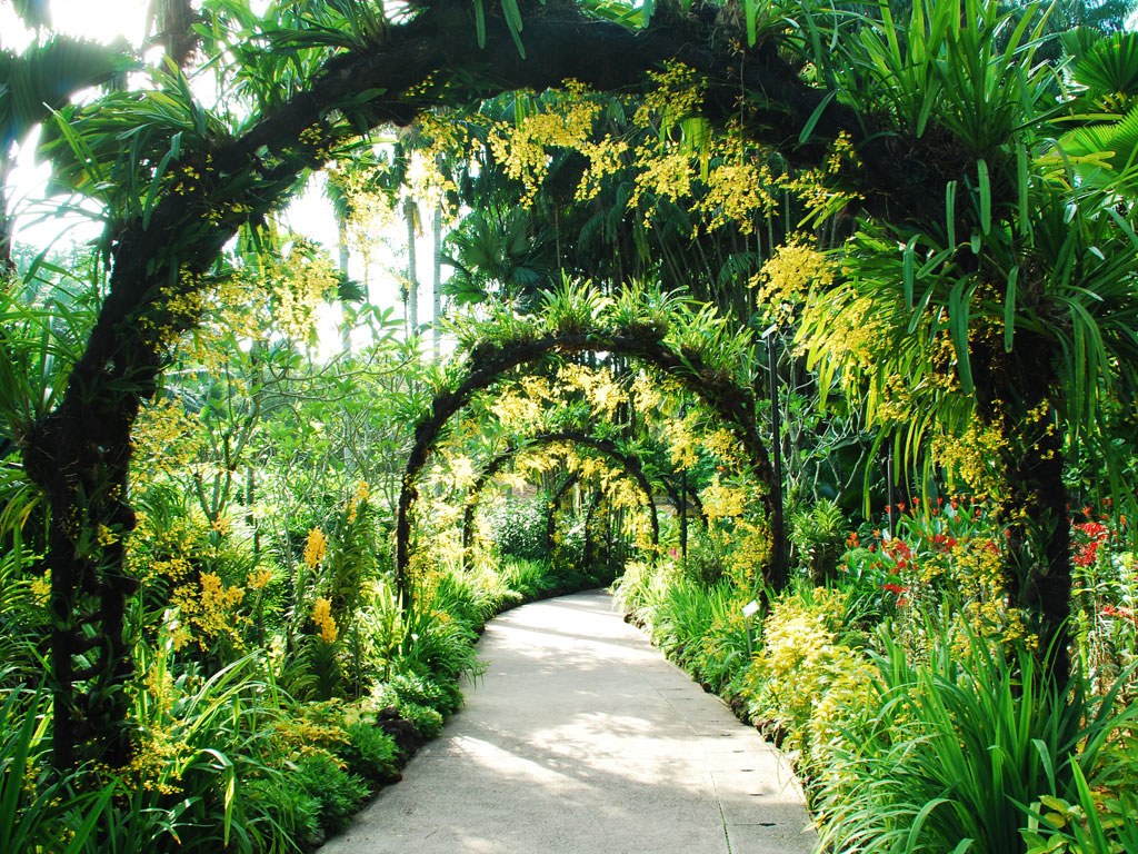 Taman Park Singapura Lengkap Dengan Bunga Landscape Indah Destinasi Turis