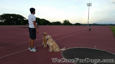 Archer and Mhershey waiting for Daddy's command - September 11, 2016 Archer and Mhershey waiting for Daddy's command - September 11, 2016