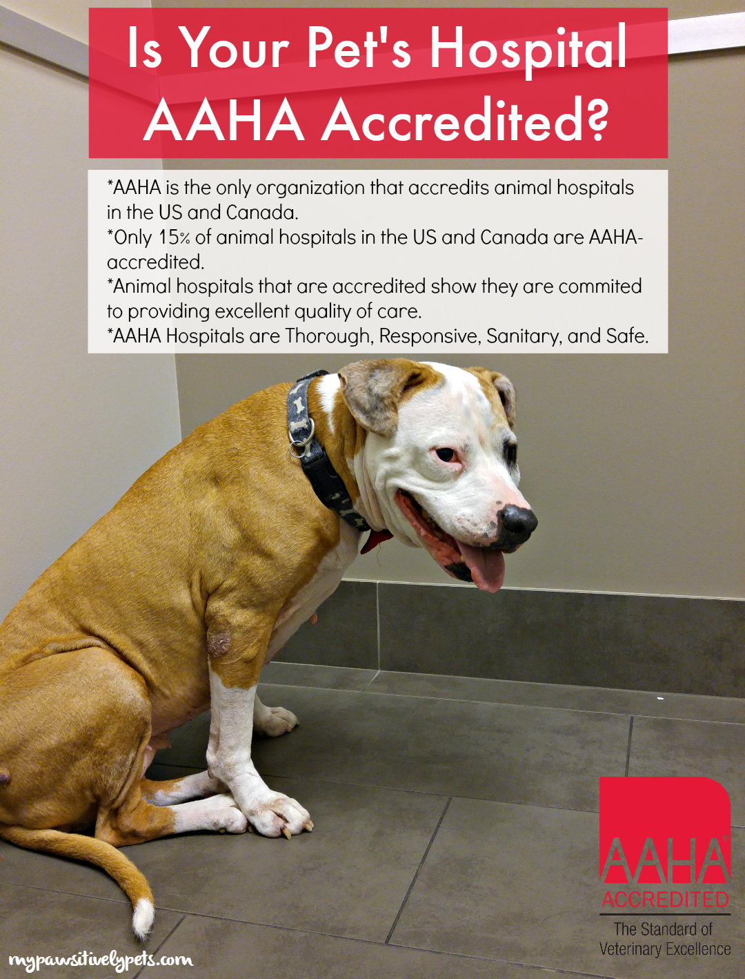 Is Your Pet's Hospital AAHAAccredited? Pawsitively Pets