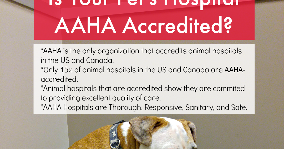 Is Your Pet's Hospital AAHAAccredited? Pawsitively Pets