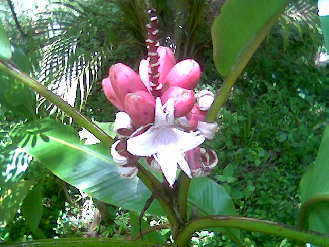 ATT00001.jpe