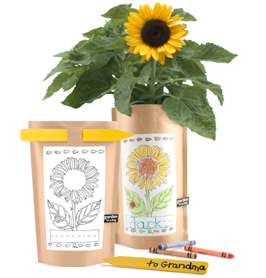 garden in a bag - sunflower
