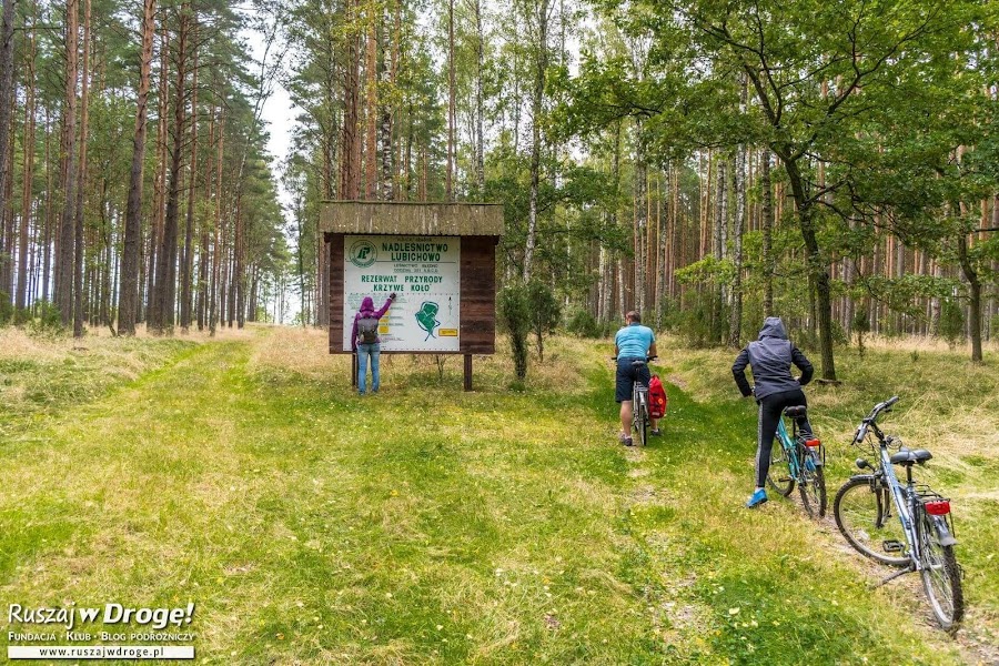 Kociewskie Trasy Rowerowe - Na Szlaku do Krzywego Koła