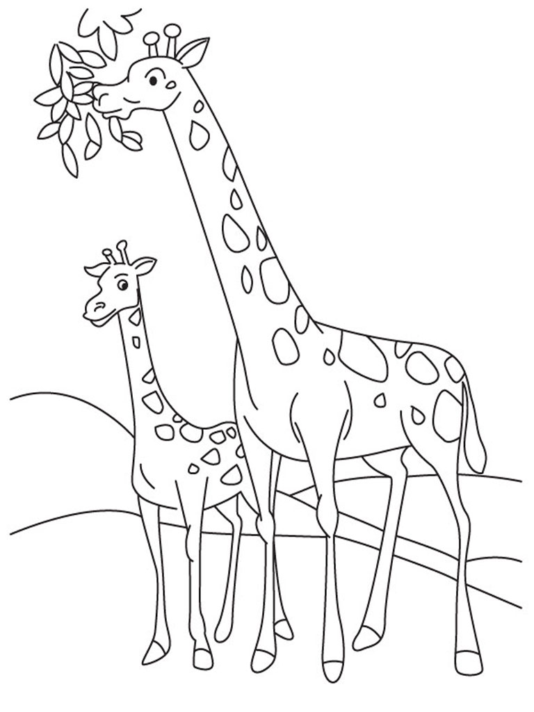 Giraffe Coloring Pages Realistic | Realistic Coloring Pages