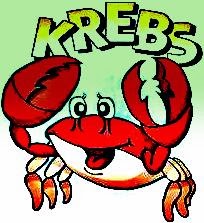 http://3.bp.blogspot.com/-iVlfED9KkDE/UtXLJPD03eI/AAAAAAAAA8s/5Z-E0RH6-dM/s1600/_krebs.jpg