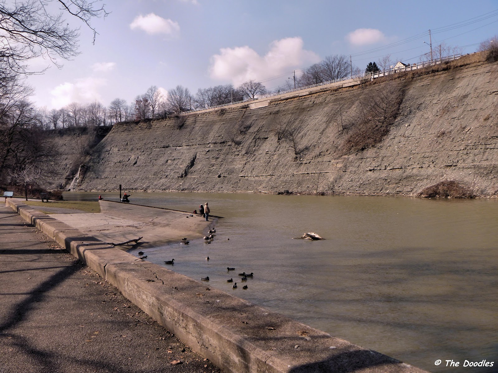 Birds from Behind More Rocky Shots From Rocky River...