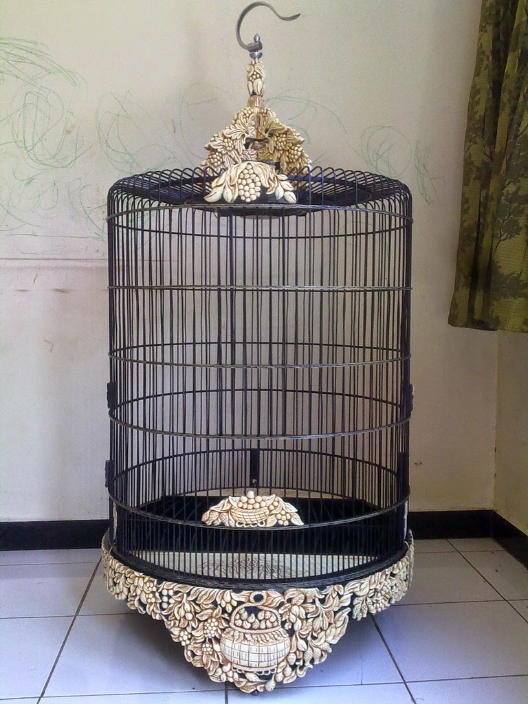 Contoh Sangkar Burung Cucak Rowo dan Ukurannya
