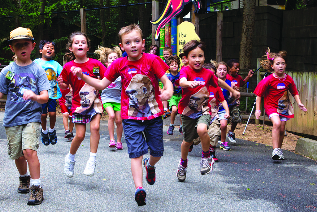 Summer Camp Ideas for Children Nanny to Mommy