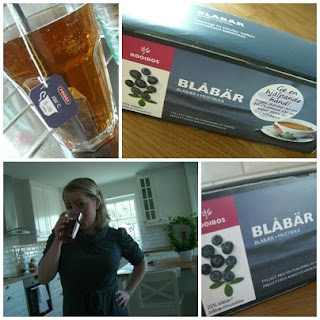 Friggs%2Bbl%25C3%25A5b%25C3%25A4rste - FRIGGS blåbärste och andra goda téer