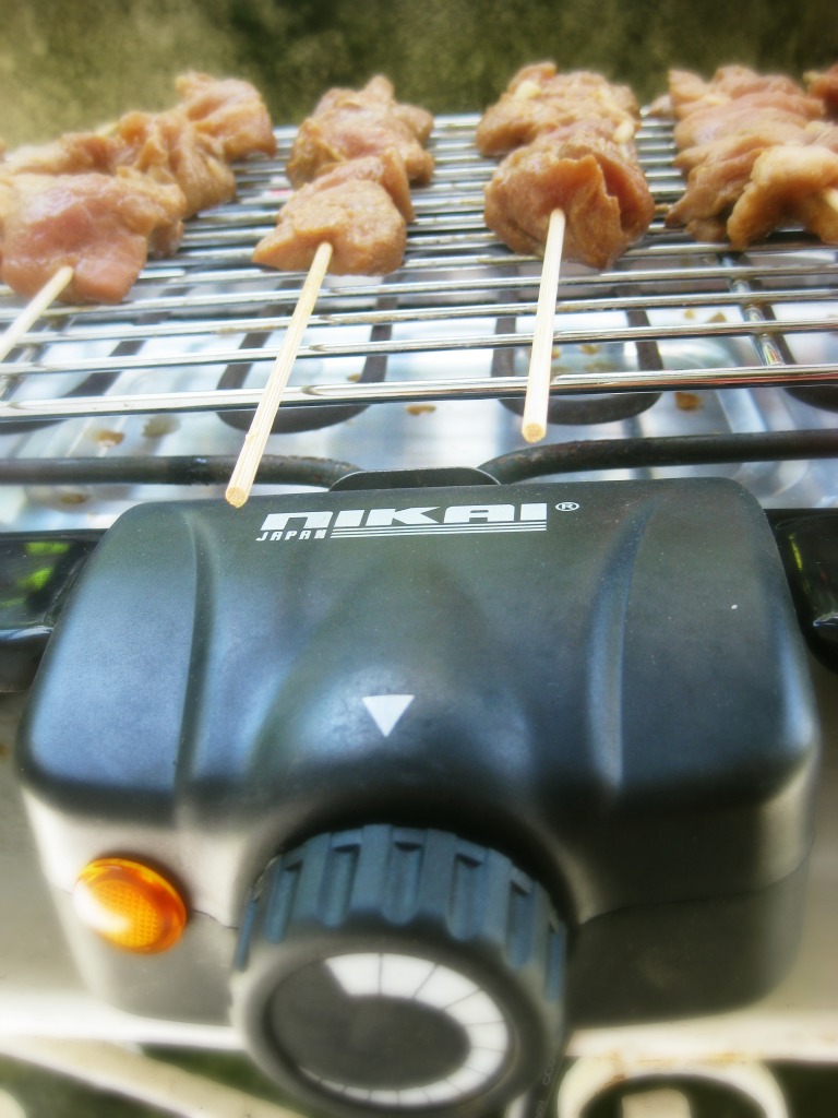 Cook this Recipe Cooking with an Electric Barbecue Grill