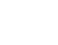 What The Frog