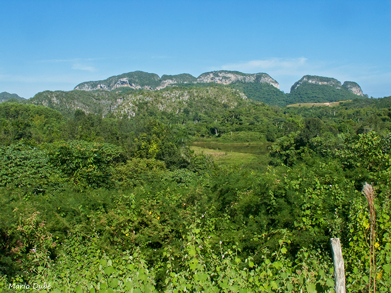 Vallée de Viñales